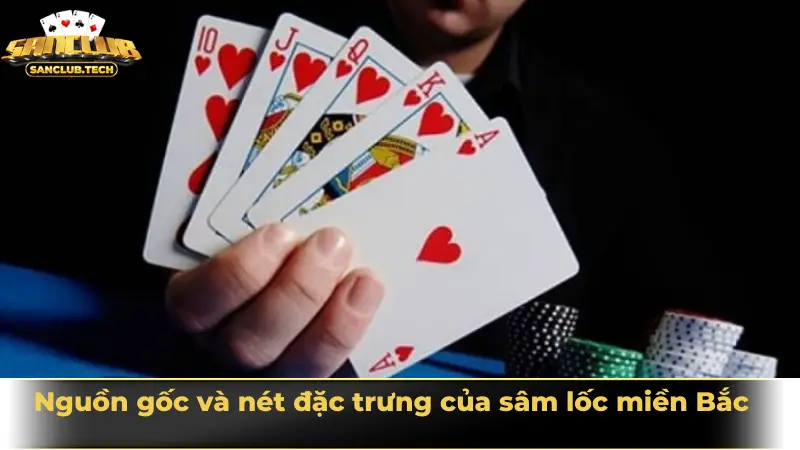 Nguồn gốc và nét đặc trưng của sâm lốc miền Bắc